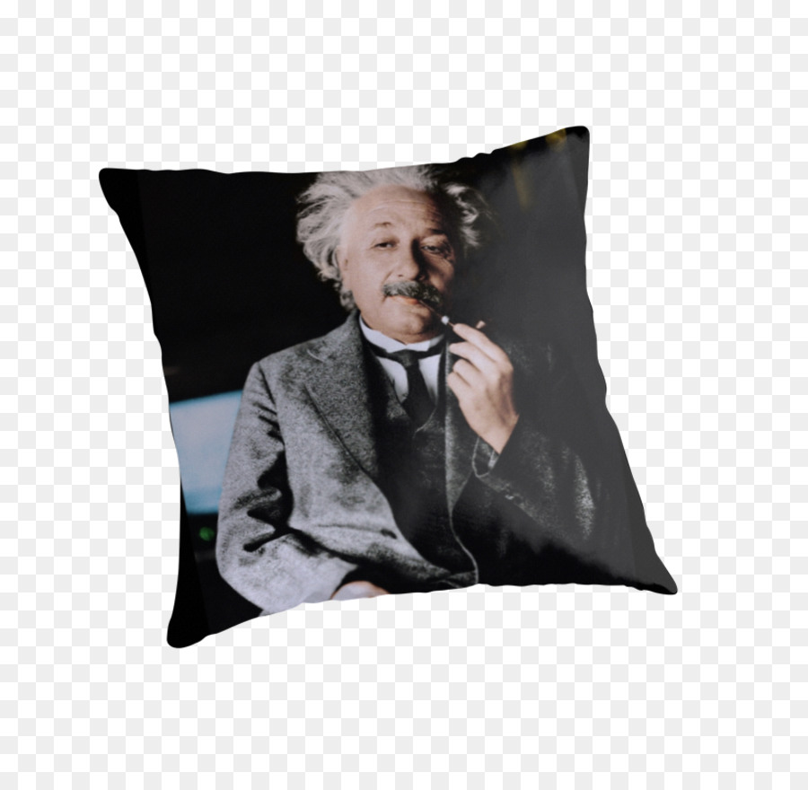 Oreiller Einstein，Portrait PNG