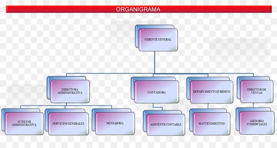 Organigramme，Immobilier PNG