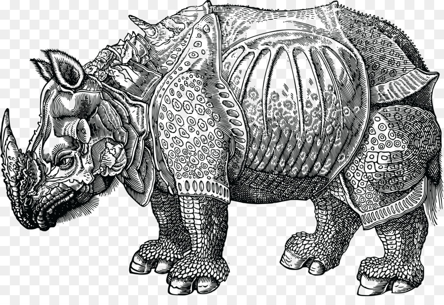 Rhinocéros Gravé，Dessin PNG