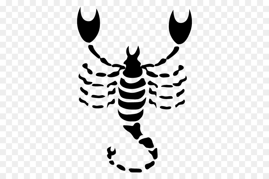 Scorpion，Signe Astrologique PNG