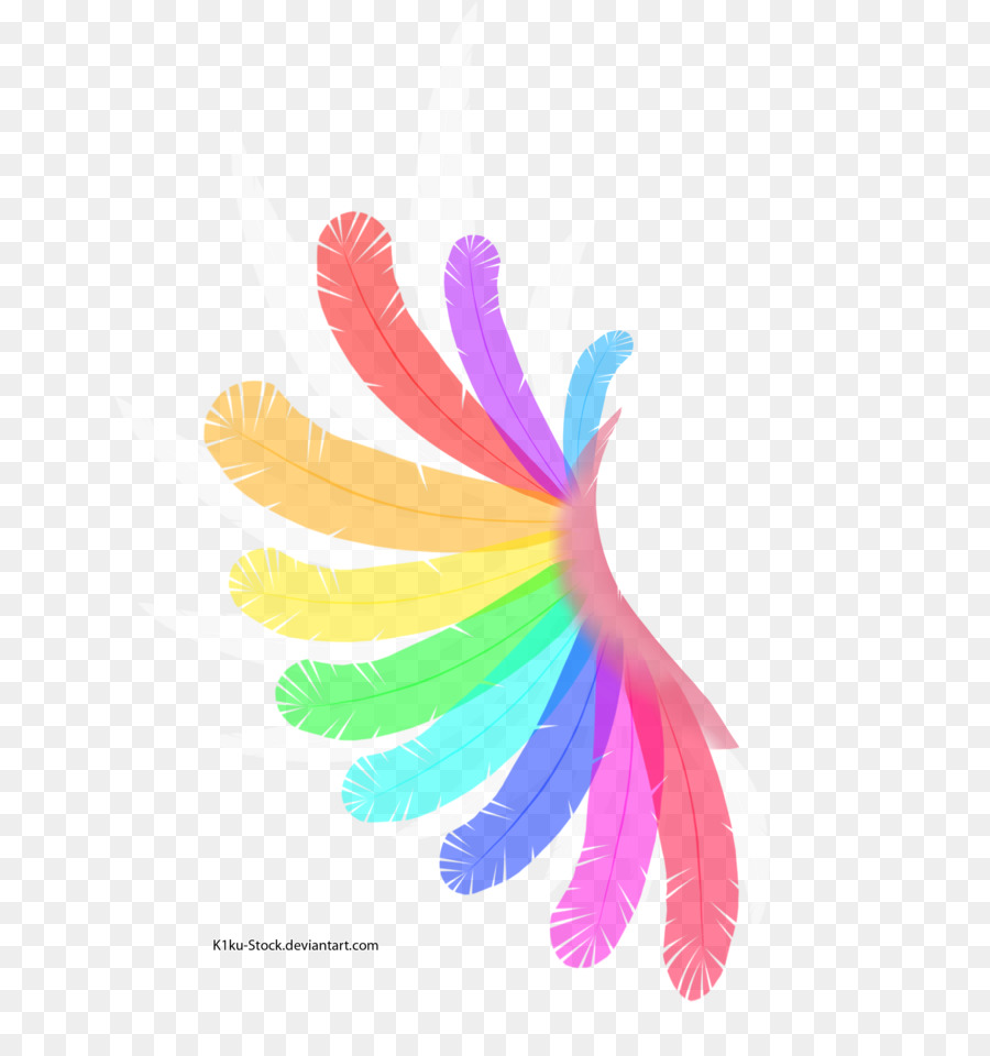 Plumes Arc En Ciel，Coloré PNG