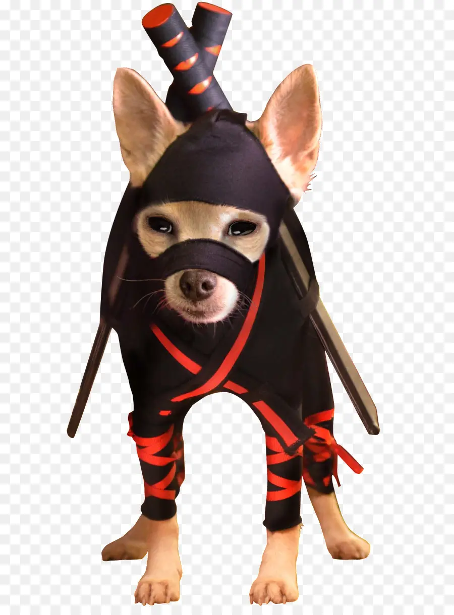 Chien Ninja，Costume PNG