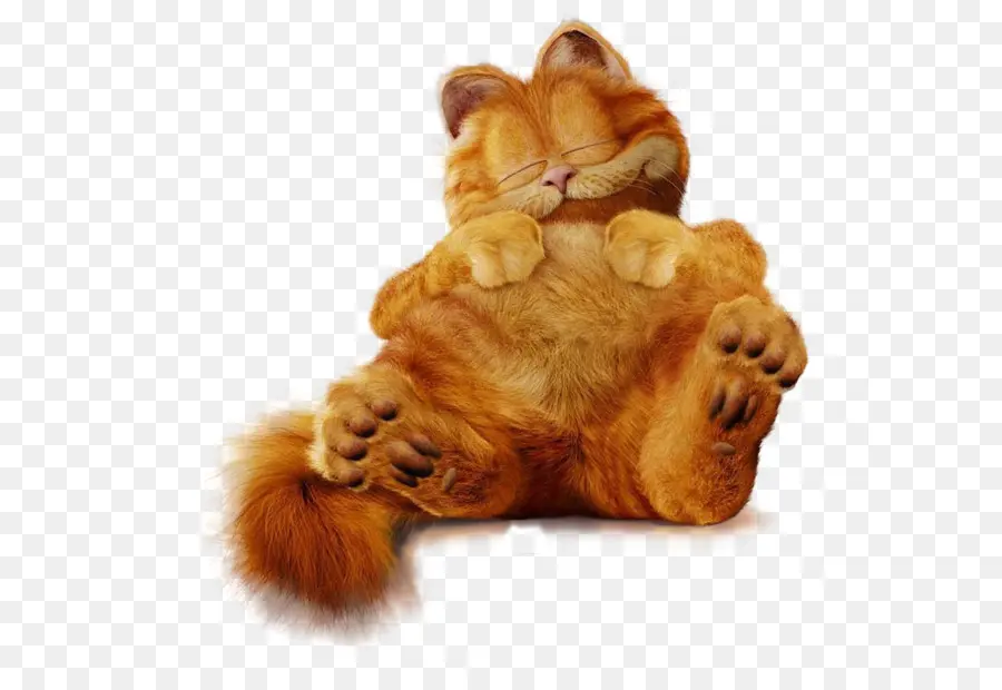 Chat，Orange PNG