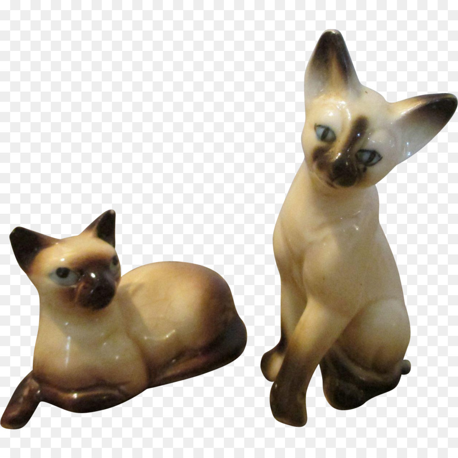 Chat Siamois，Chat Tonkinais PNG