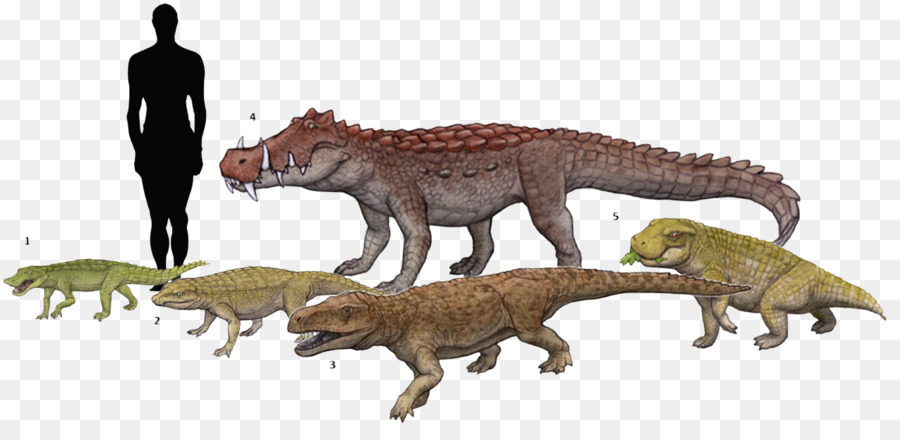 Le Tyrannosaure，Simosuchus PNG
