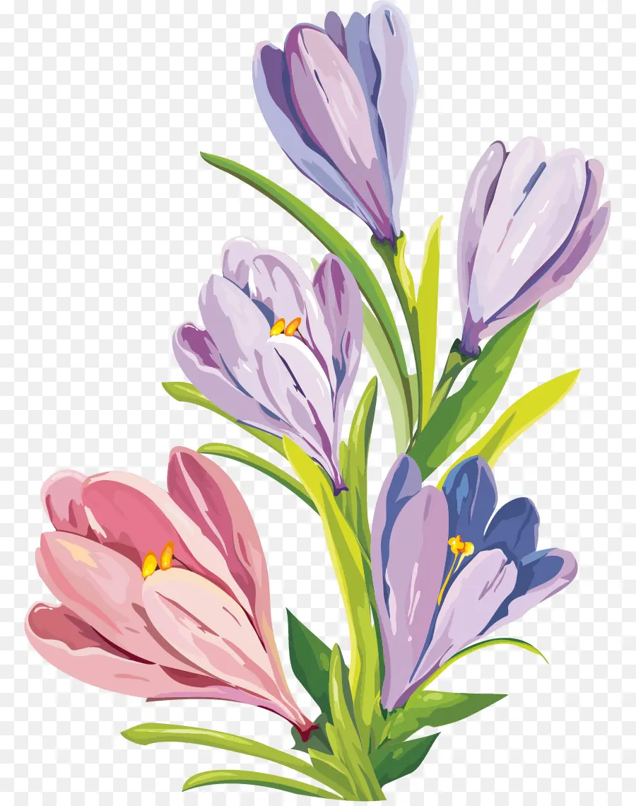 Gouache，Fleur PNG