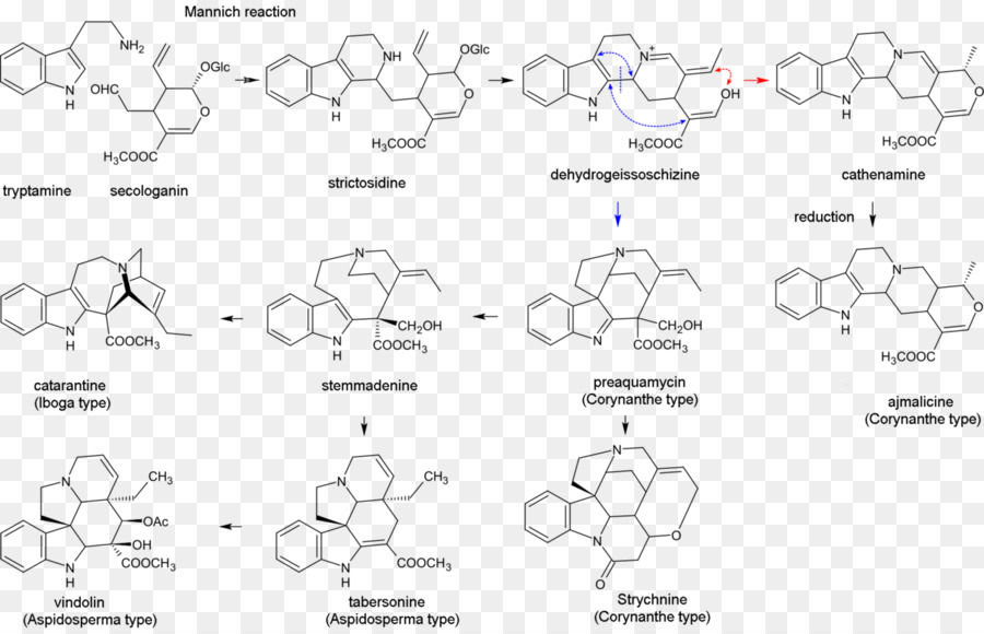 Structure Chimique，Molécule PNG