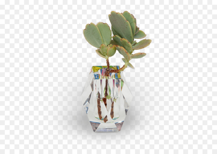 Cadeau，Vase PNG