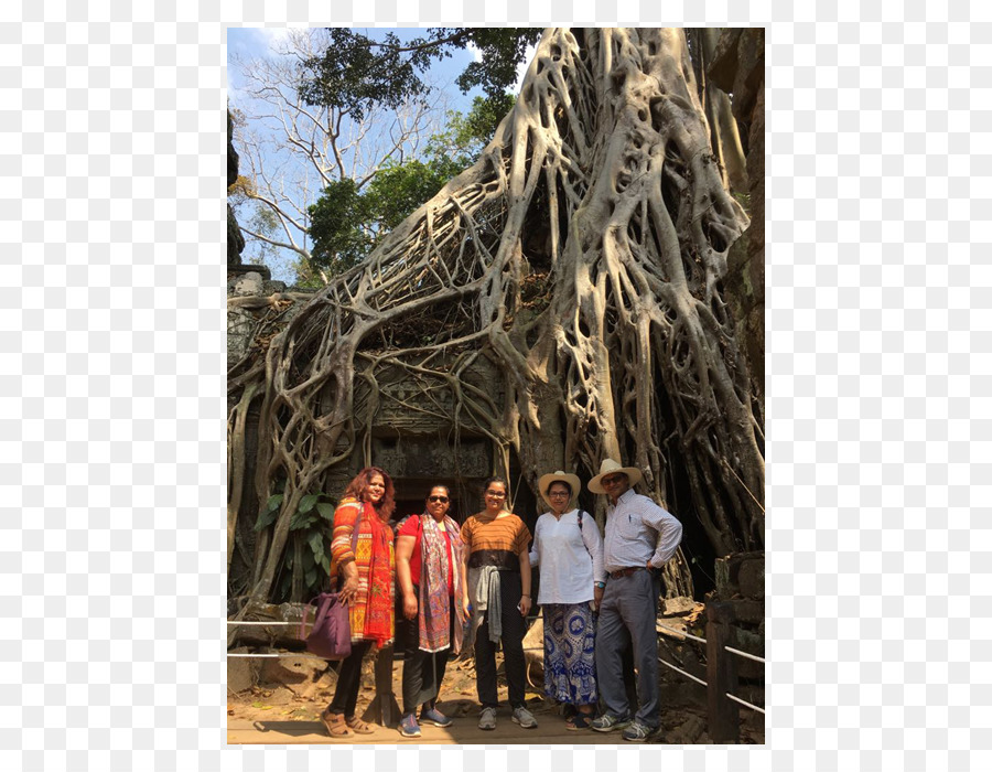 Prohm Ta，Angkor PNG