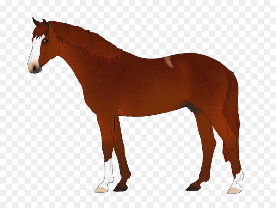 Chevaux，Cheval PNG