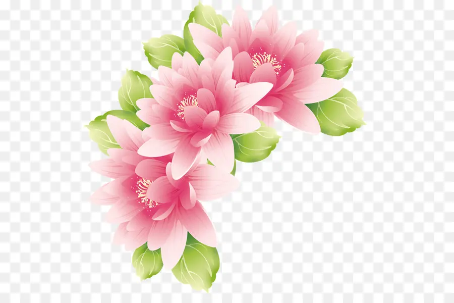 Fleurs Roses，Feuilles Vertes PNG