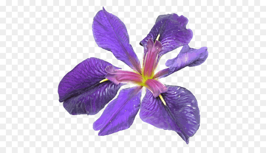 Fleur，Fleurir PNG