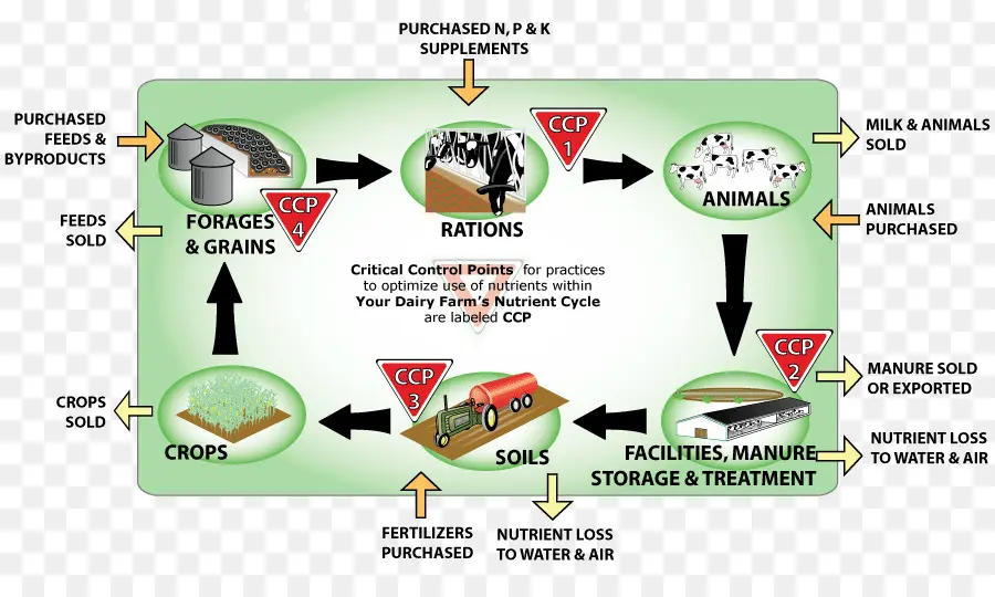 Cycle Des Nutriments，Faire Du Vélo PNG