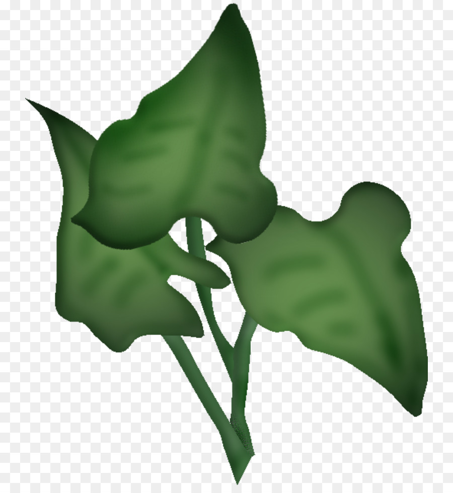 Feuilles Tropicales，Plantes PNG