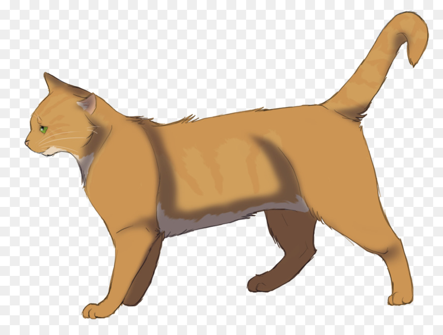 Chat，Animal De Compagnie PNG