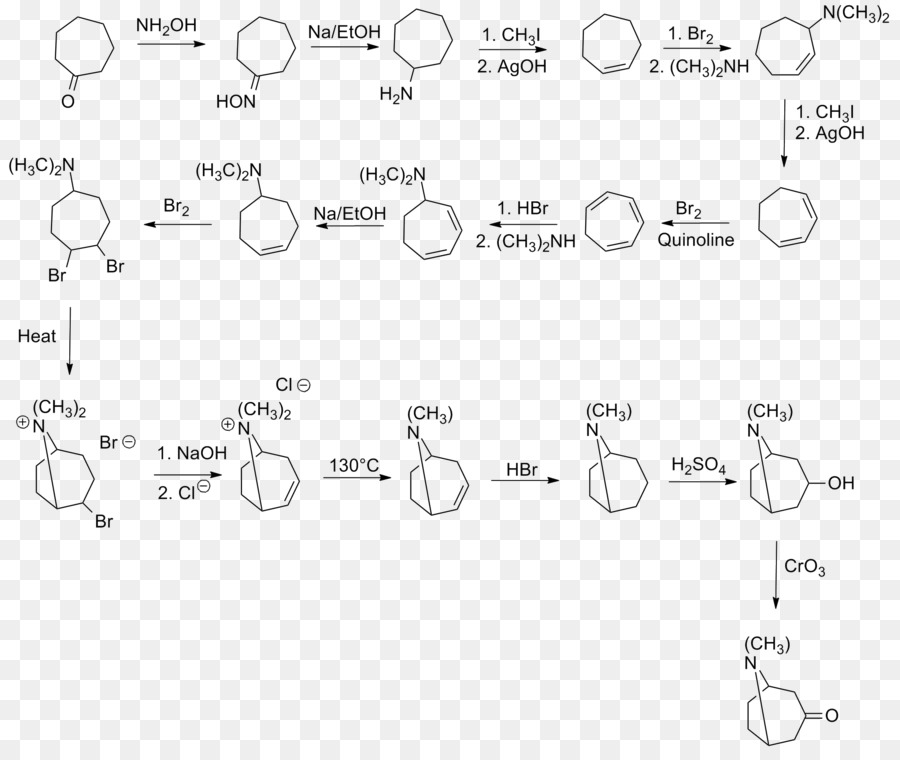 Diagramme Chimique，Chimie PNG