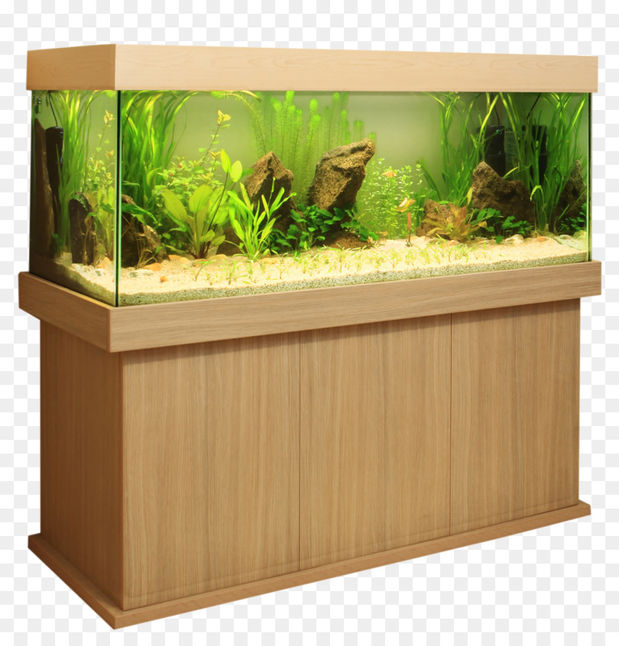 Aquarium，Eau PNG