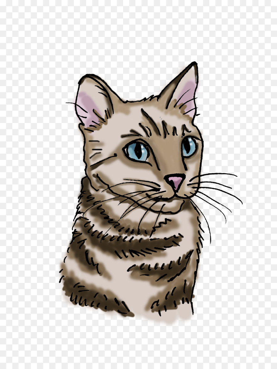 Chat，Animal De Compagnie PNG