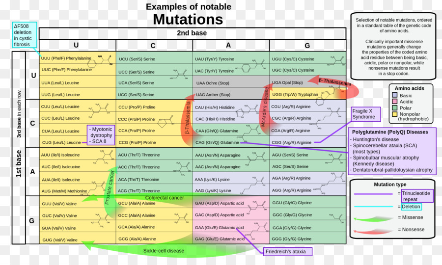 Mutation，Mutation Absurde PNG