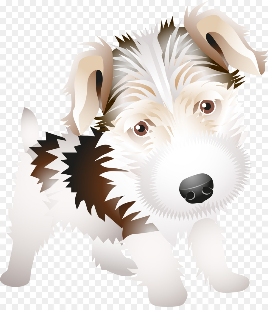 West Highland White Terrier，Fil De Cheveux Fox Terrier PNG