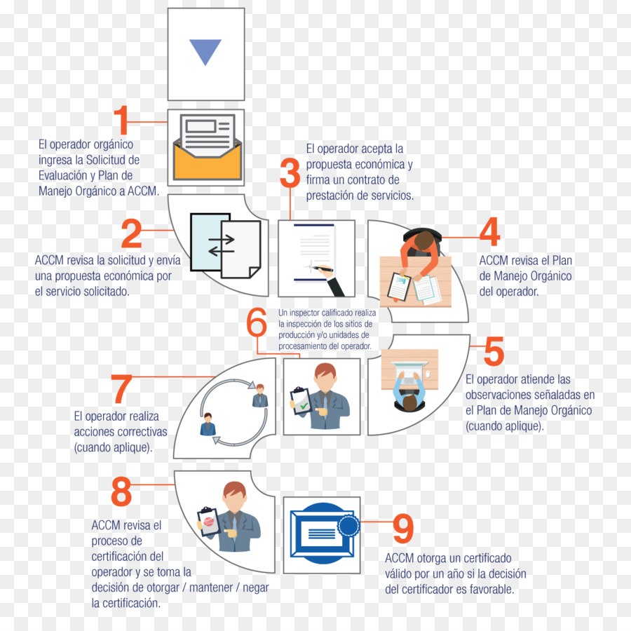 Organisation，Système De Gestion De Qualité PNG