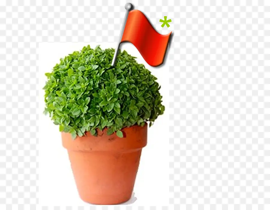 Plante En Pot Avec Drapeau，Drapeau PNG