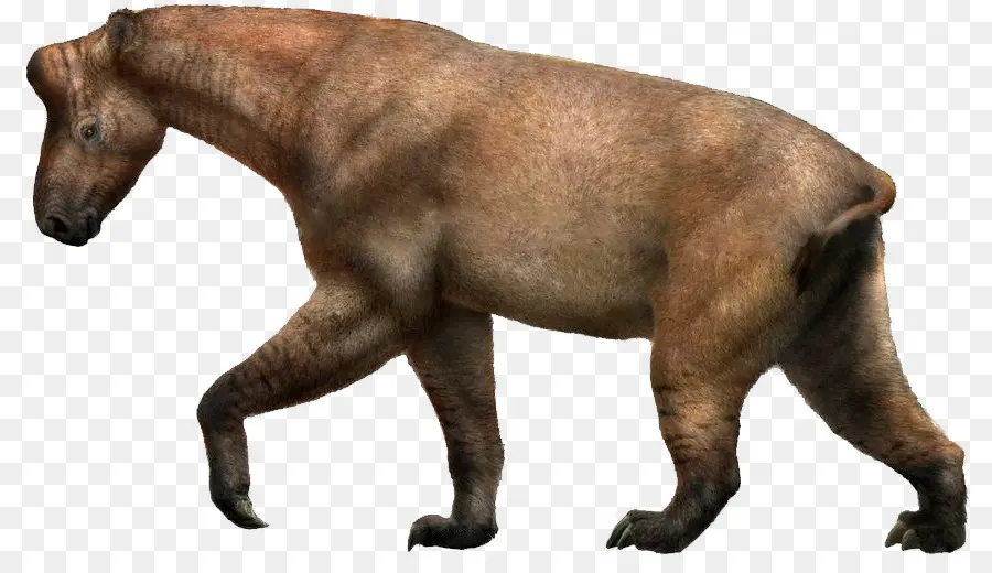 Animal Préhistorique，éteint PNG