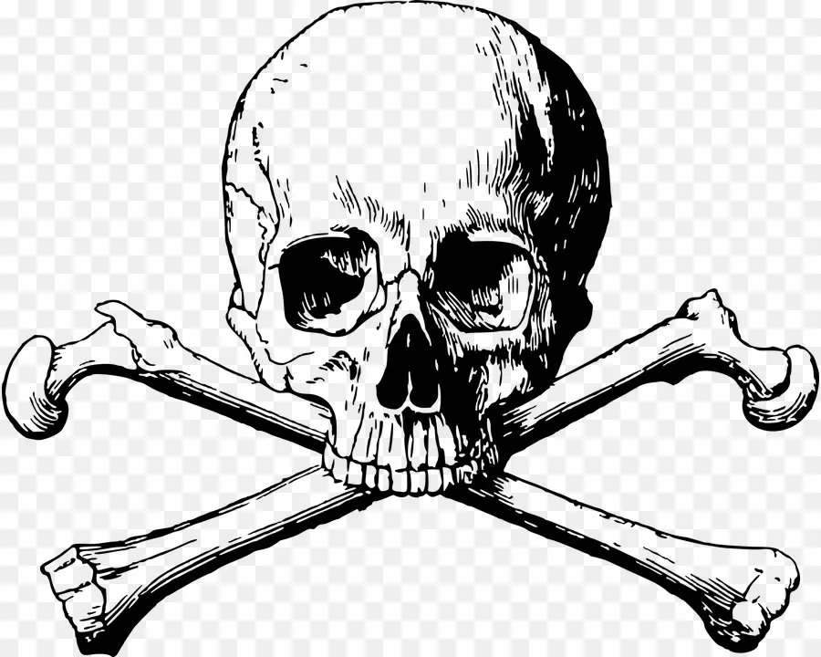 Le Crâne Et Les Os，Crâne Humain Symbolisme PNG