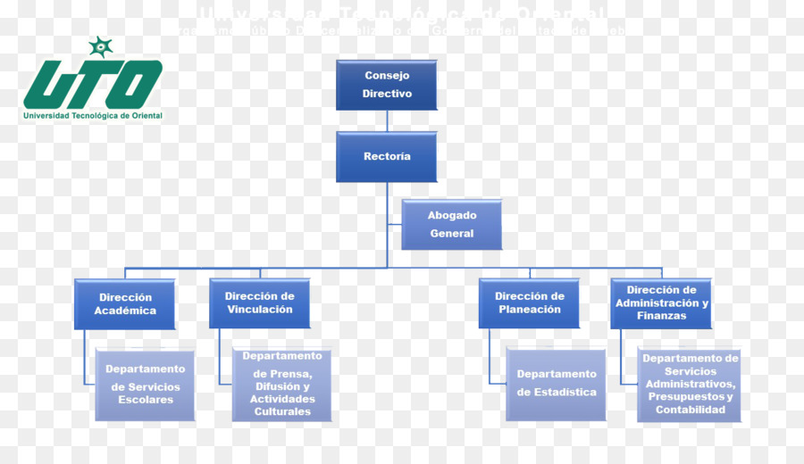 Organigramme，Organisation PNG