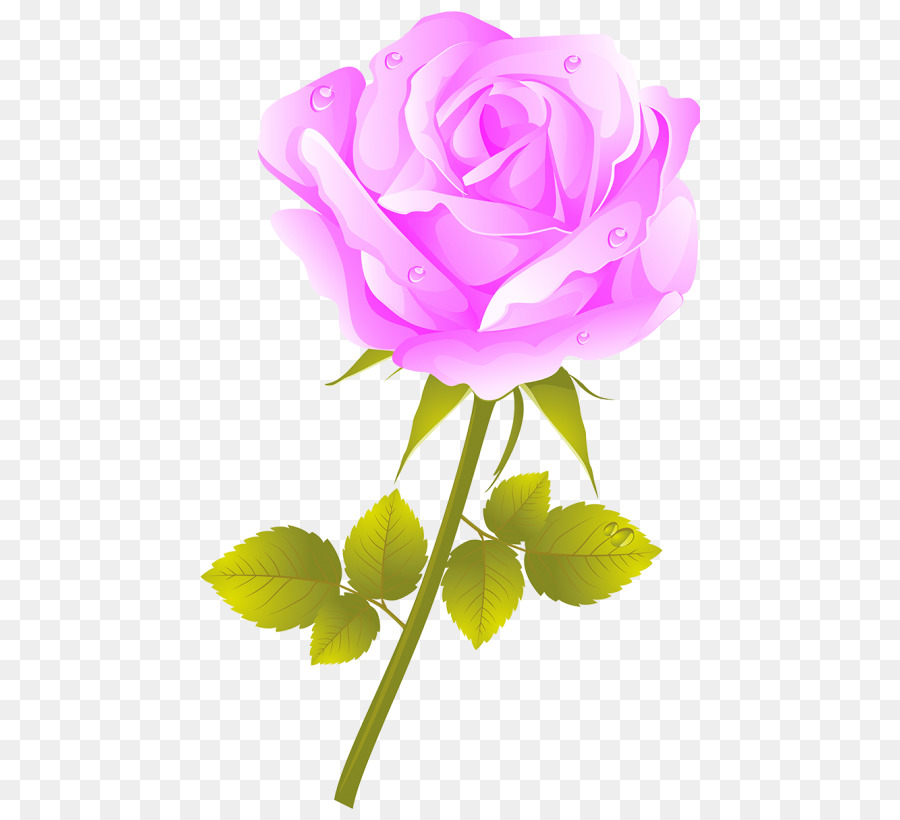 Roses Roses，Feuilles PNG