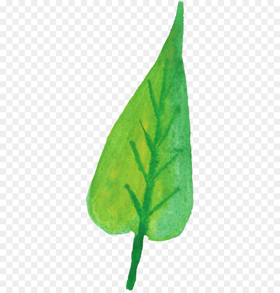 Feuille Verte，Usine PNG