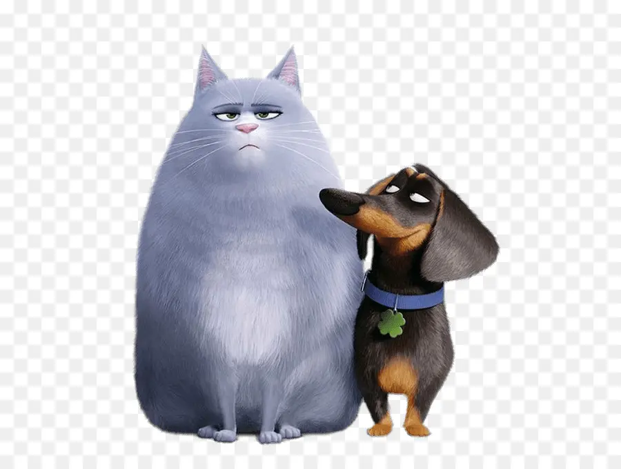 Chat Et Chien，Animaux De Compagnie PNG