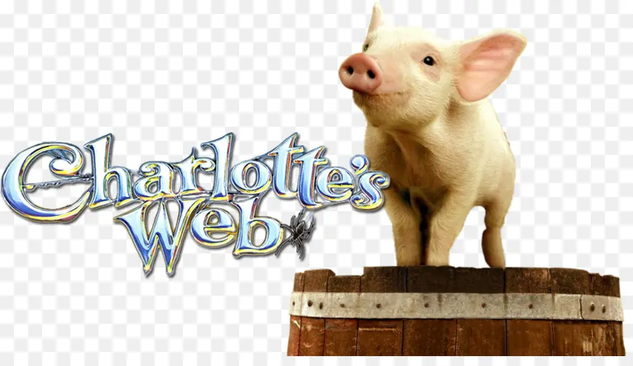 De Porcs Domestiques，Le Web De Charlotte PNG