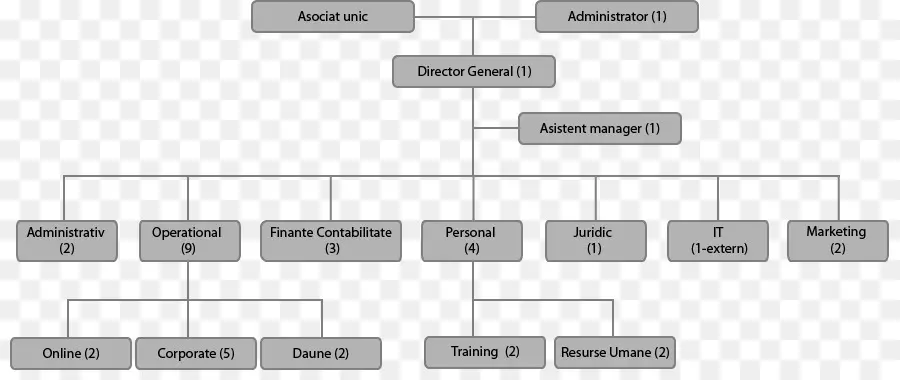 Entreprise，Organigramme PNG