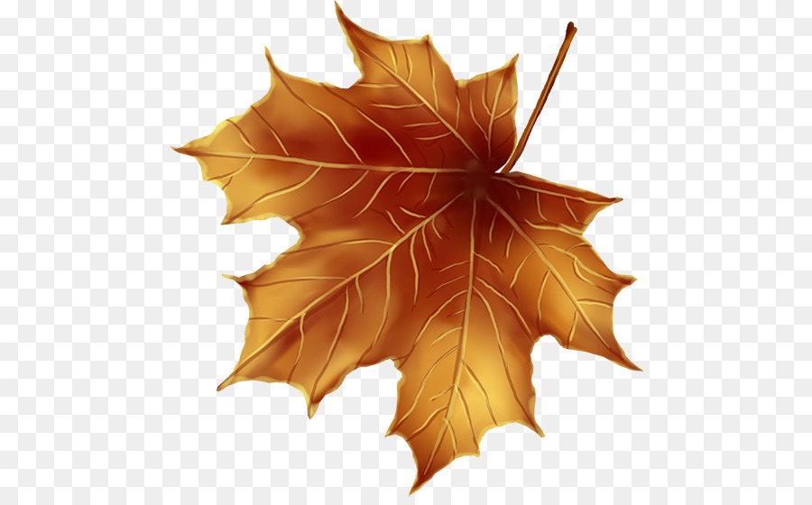 Feuilles Et Glands D'automne，Automne PNG