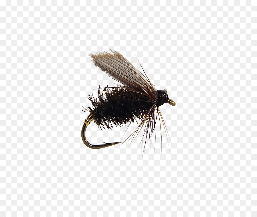 Mouche Artificielle，Mouche PNG