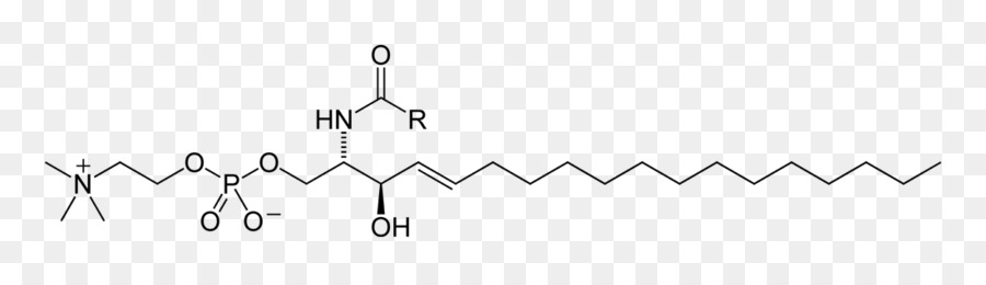 Structure Chimique，Molécule PNG