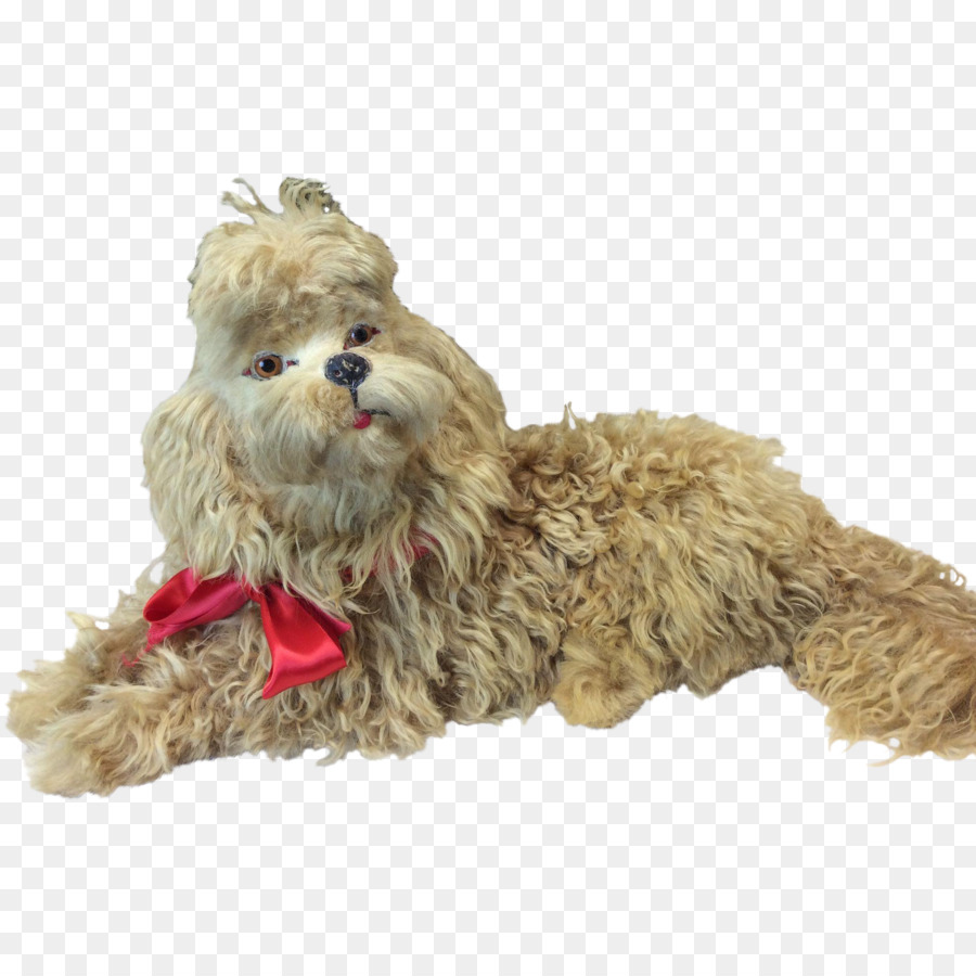 Shih Tzu，Chien De Compagnie PNG