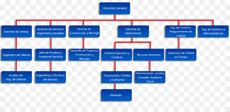 Organigramme，Organisation PNG