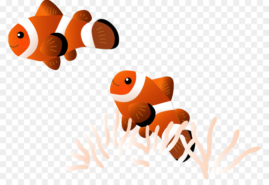 Poisson，Aquatique PNG