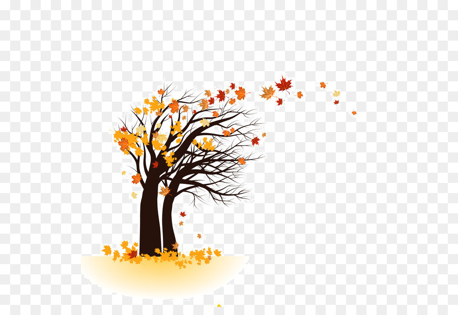 Arbre D'automne，Feuilles PNG