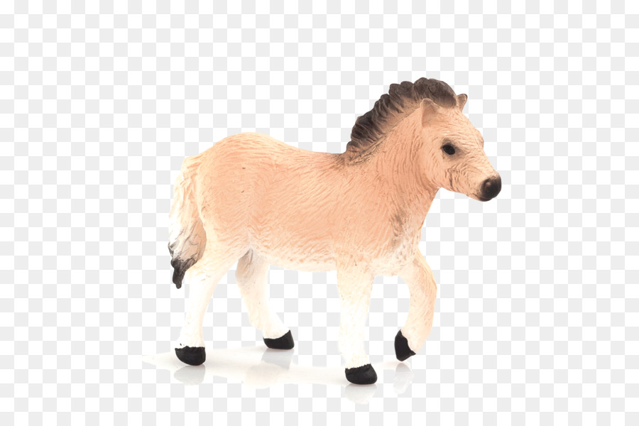 Poney，Poney Shetland PNG