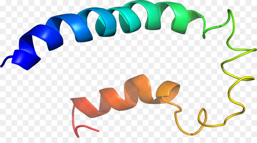 Hélice Protéique，Molécule PNG