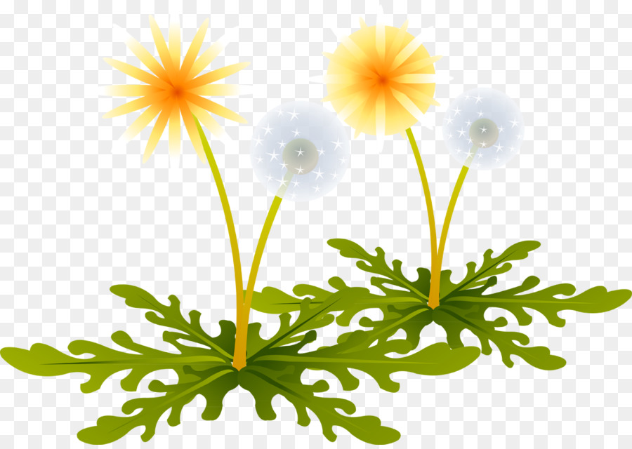 Fleurs De Pissenlit，Fleur PNG