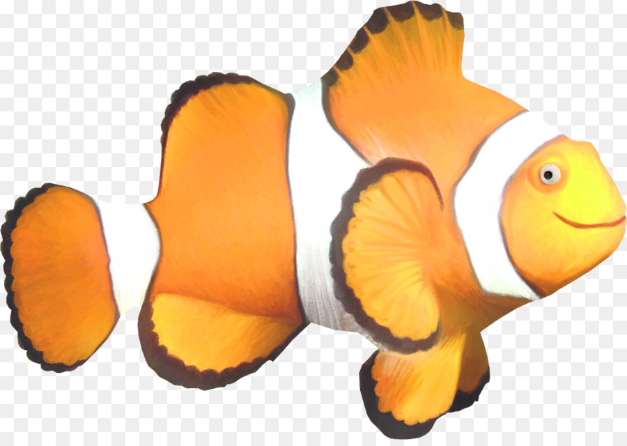 Poisson Clown Orange，Aquatique PNG