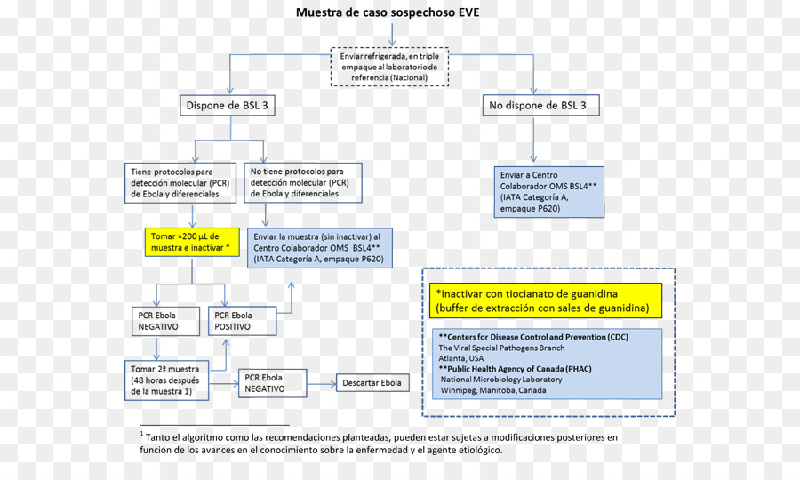 Laboratoire，Maladie à Virus Ebola PNG