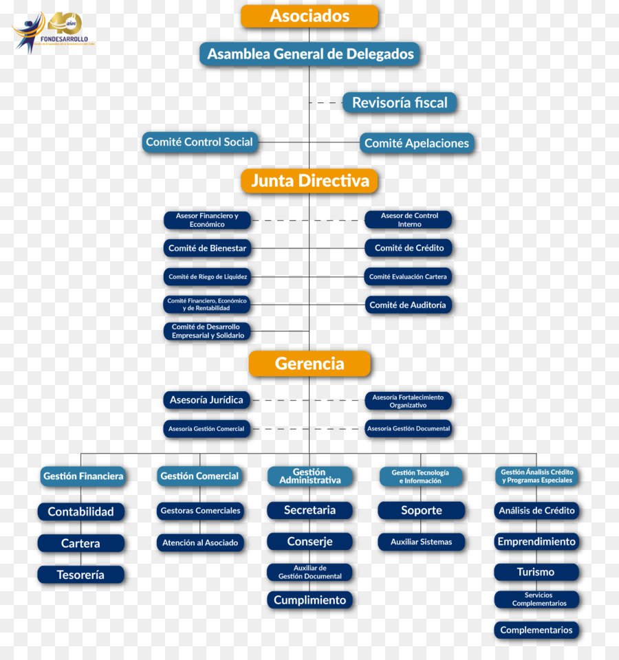 Organigramme，Organisation PNG