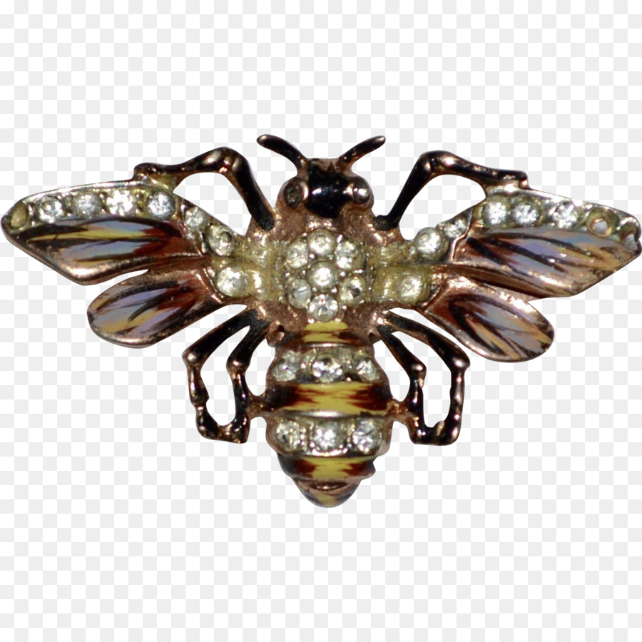 Les Insectes，Broche PNG