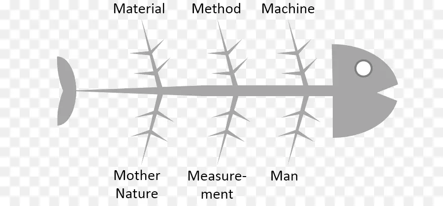 Diagramme En Arête De Poisson，Diagramme PNG