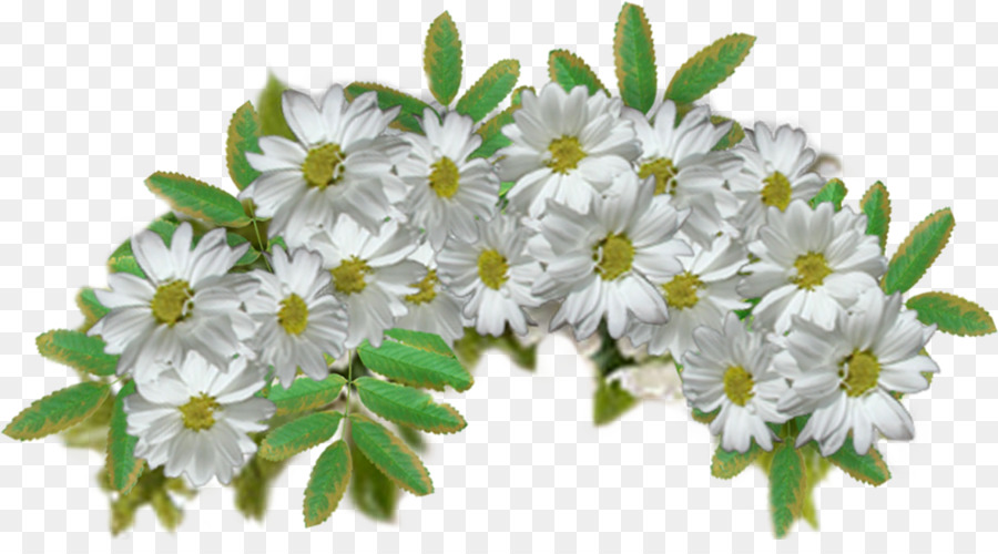 Fleurs Blanches，Feuilles Vertes PNG